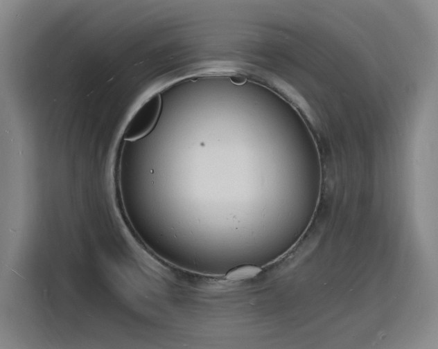 X0000115841475200911201543