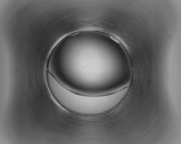 X0000115841476200911201543