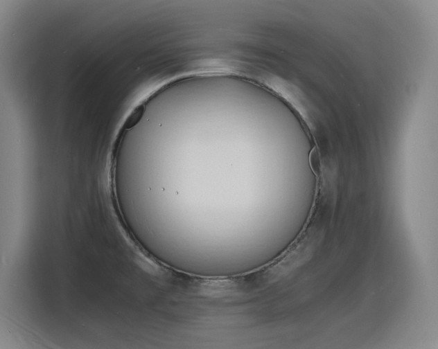 X0000115841477200911201543