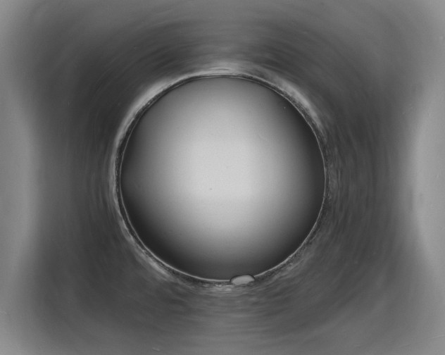 X0000115841480200911201543