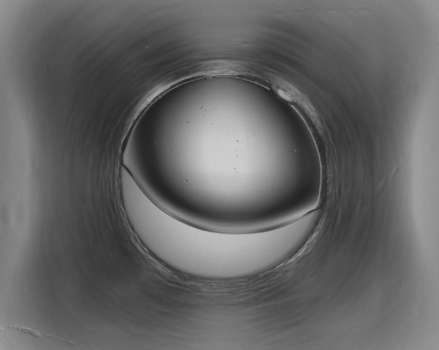 X0000115841481200911201543