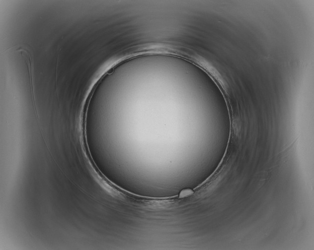 X0000115841482200911201543
