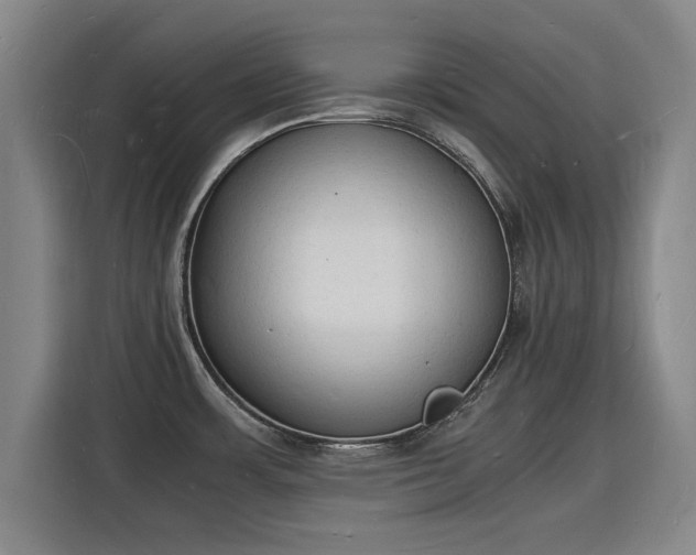 X0000115841483200911201543