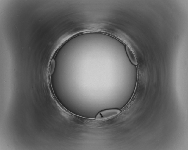 X0000115841485200911201543