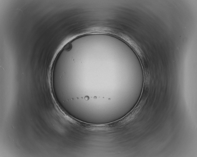 X0000115841486200911201543