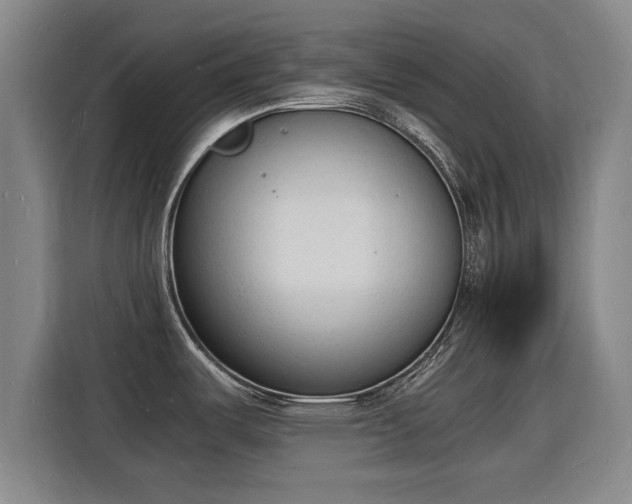 X0000115841487200911201543