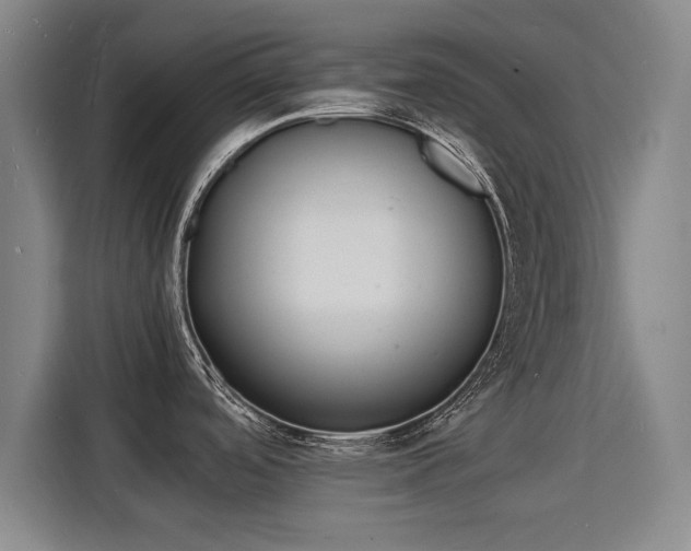 X0000115841488200911201543