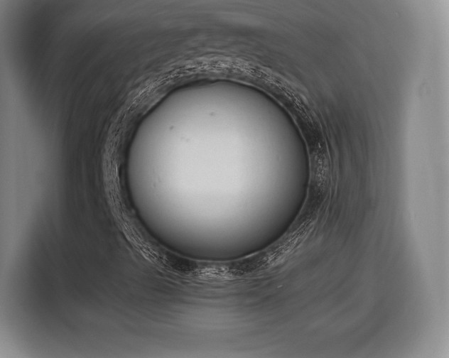 X0000115841489200911201542