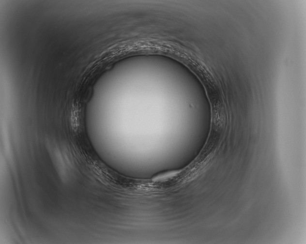 X0000115841490200911201542