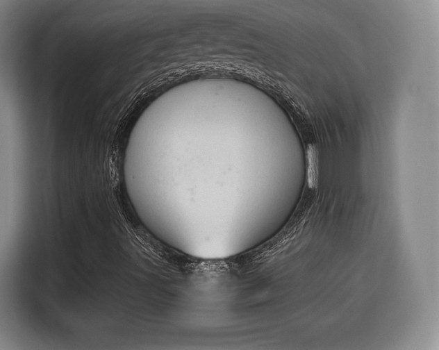 X0000115841491200911201542