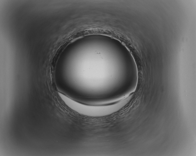 X0000115841493200911201542