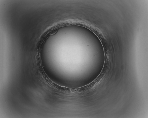 X0000115841494200911201542
