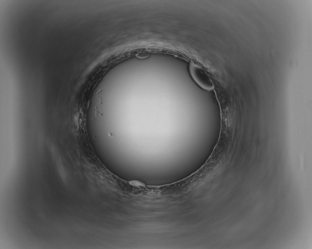 X0000115841495200911201542