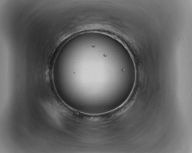 X0000115841497200911201542
