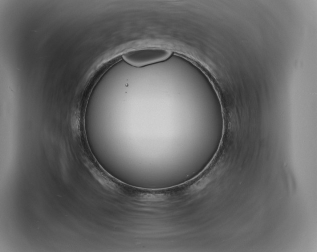 X0000115841499200911201542