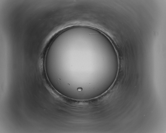 X0000115841503200911201542