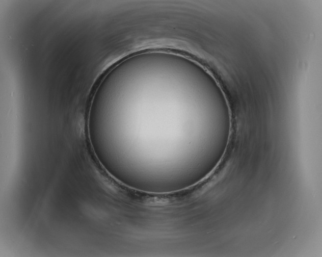 X0000115841505200911201542