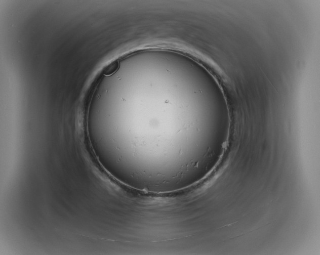 X0000115841506200911201542