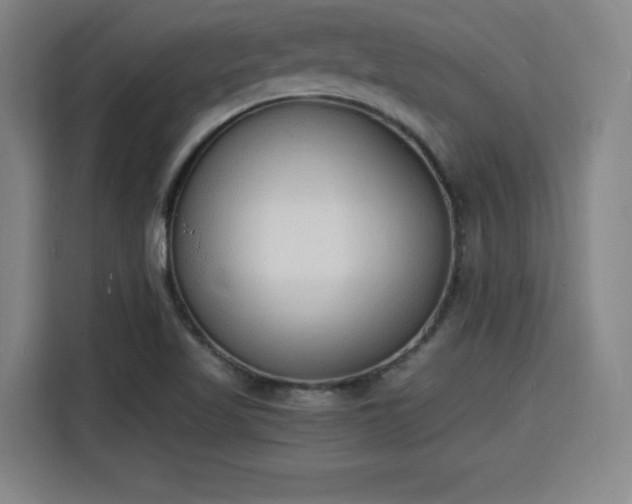 X0000115841509200911201542