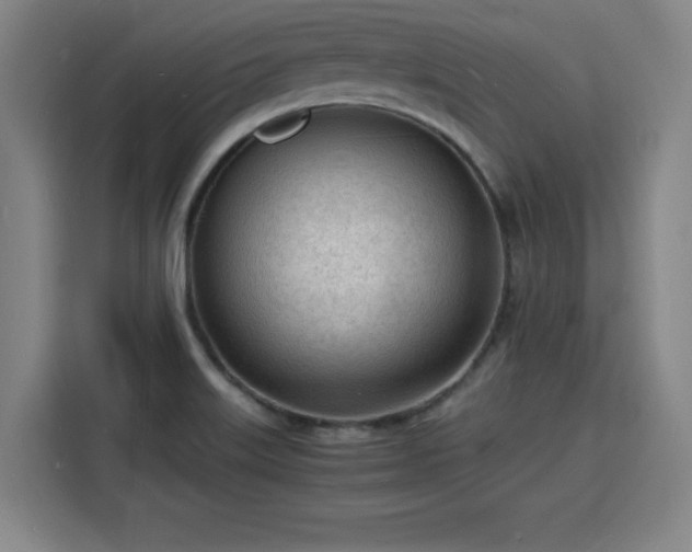 X0000115841515200911201542