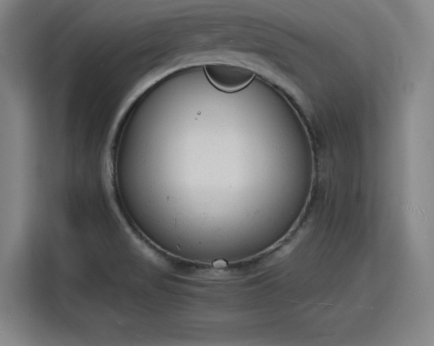X0000115841517200911201542