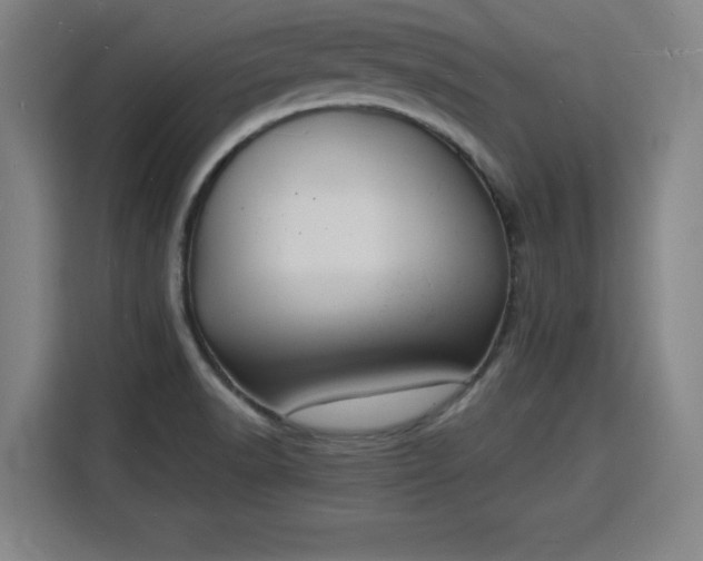 X0000115841518200911201542