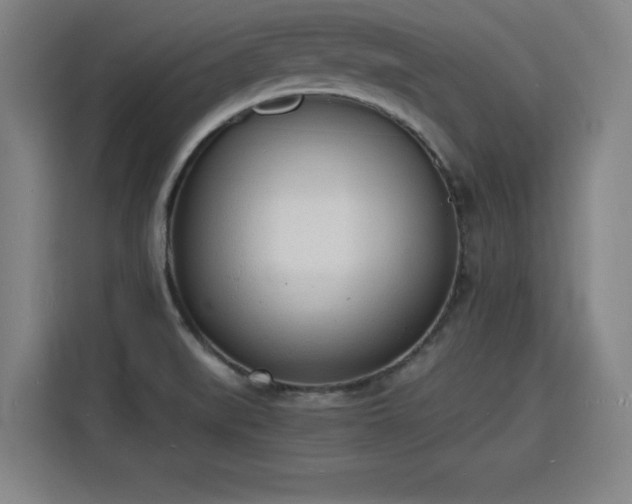 X0000115841519200911201542