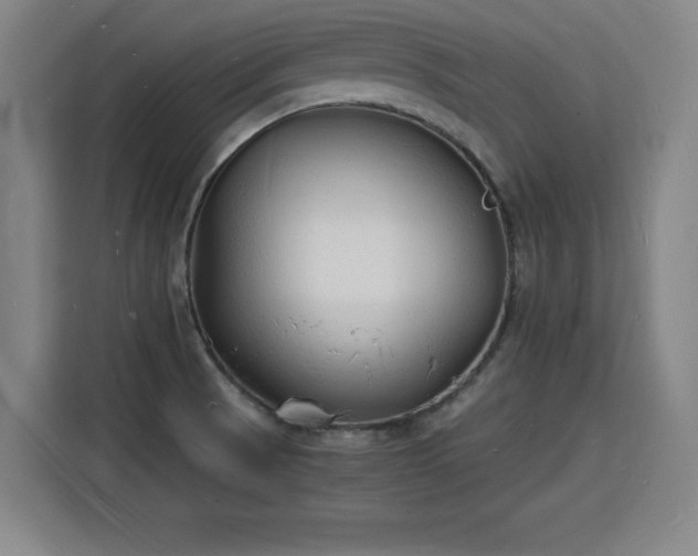 X0000115841521200911201542