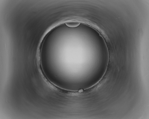 X0000115841522200911201542