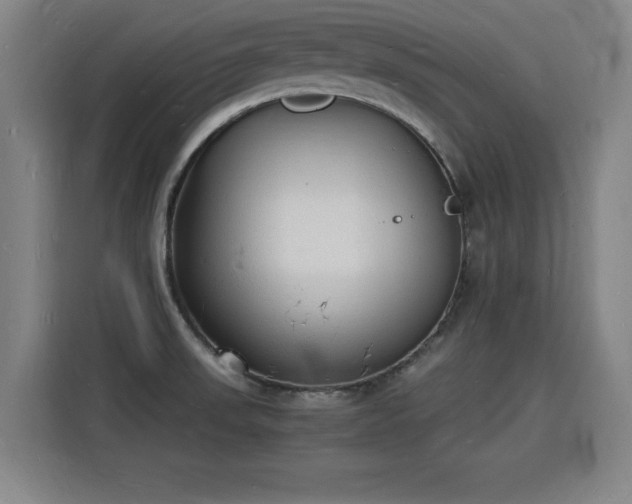 X0000115841523200911201542
