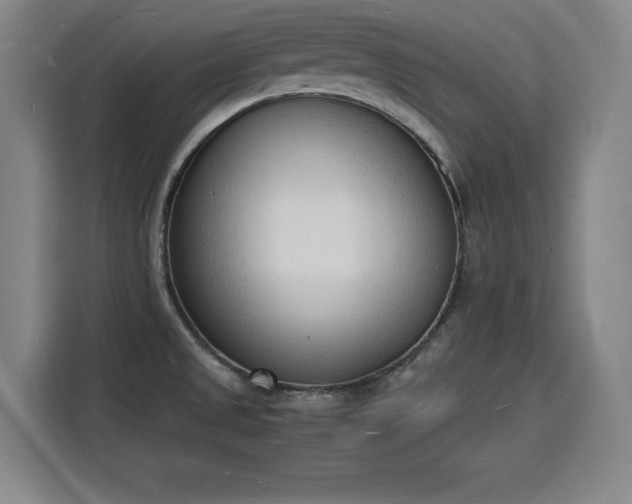X0000115841525200911201542