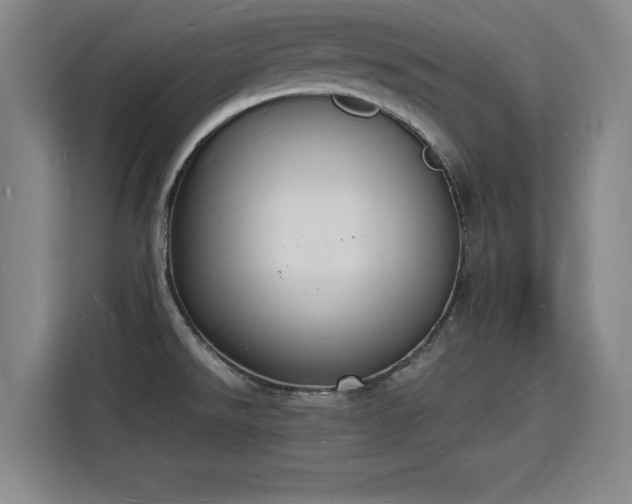 X0000115841526200911201542