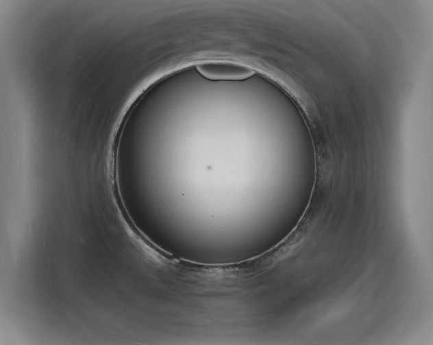 X0000115841527200911201542
