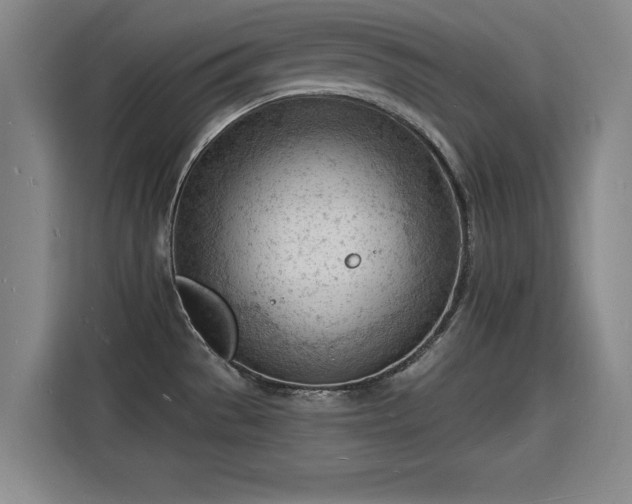 X0000115841529200911201542