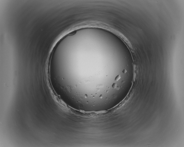 X0000115841530200911201542