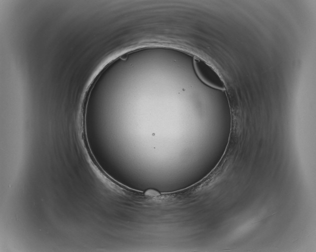X0000115841531200911201542