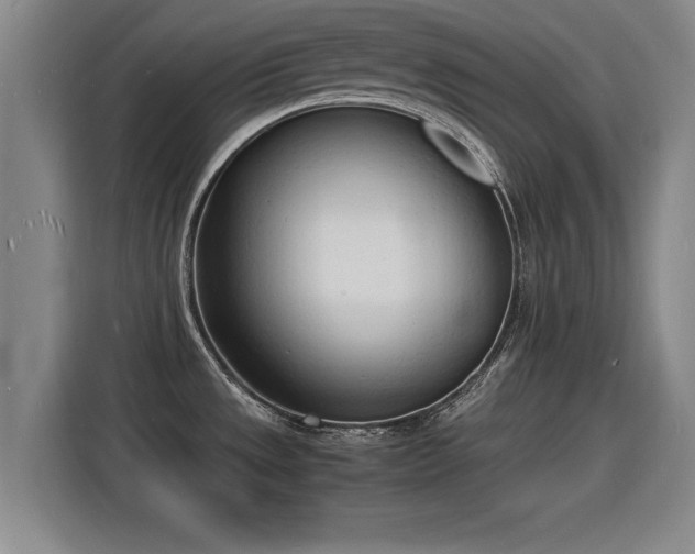 X0000115841533200911201542