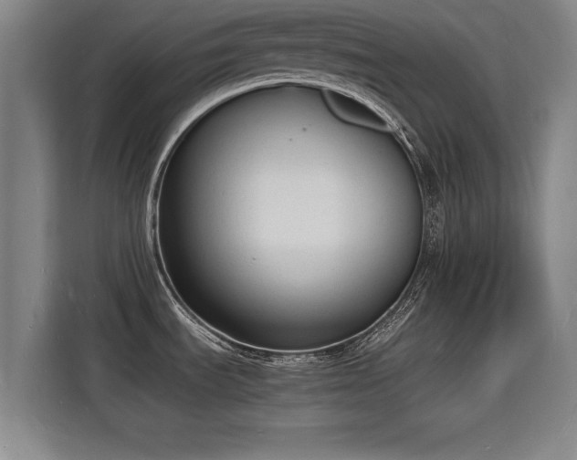 X0000115841535200911201543