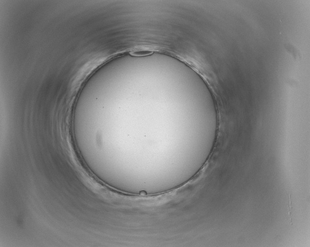 X0000115840001200911271230