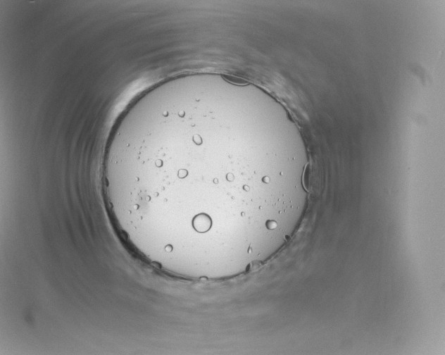 X0000115840003200911271230