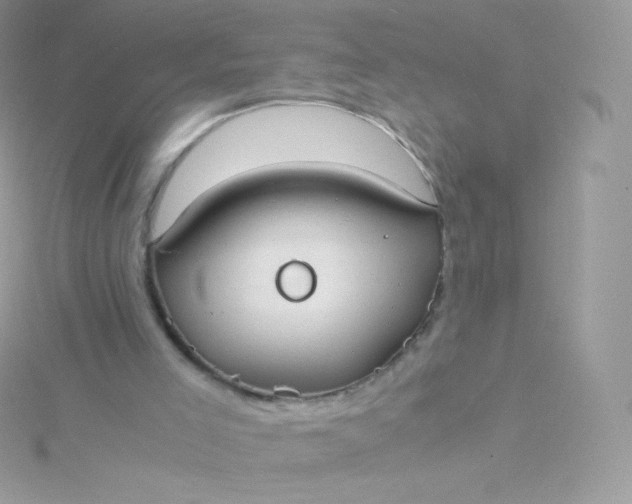 X0000115840005200911271230