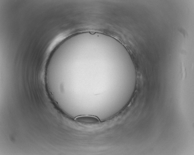 X0000115840006200911271230