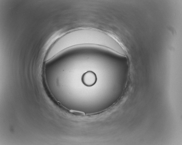 X0000115840007200911271230