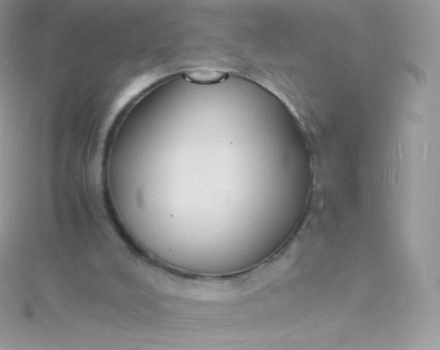 X0000115840008200911271230