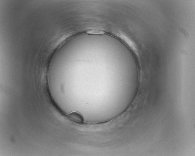 X0000115840009200911271230