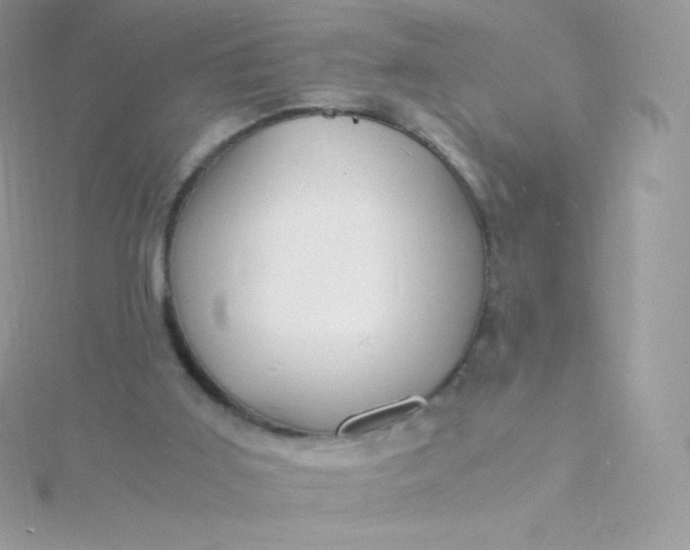 X0000115840011200911271230