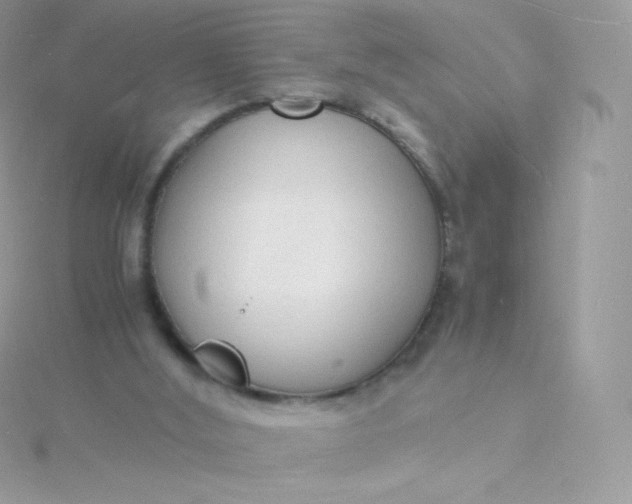 X0000115840012200911271230