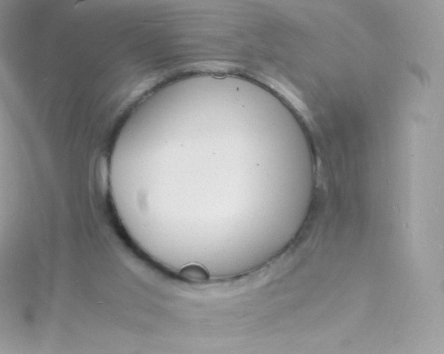 X0000115840013200911271230