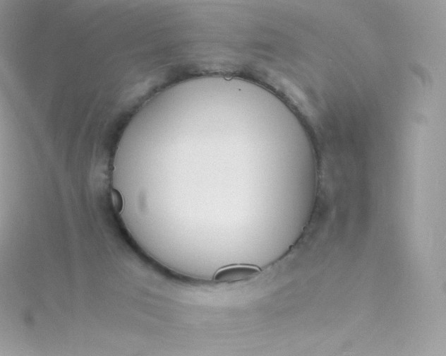 X0000115840017200911271230