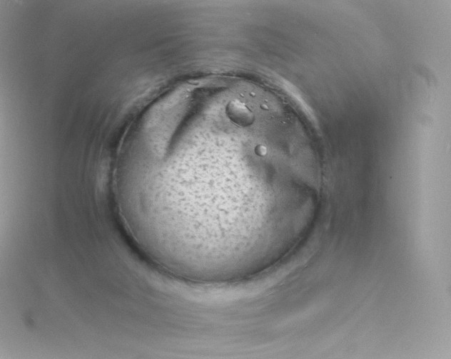 X0000115840018200911271230